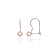 Silver hook earrings, Silver 925 fineness, Rhodium (Plating)