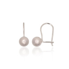 Silver hook earrings, Silver 925 fineness, Rhodium (Plating)