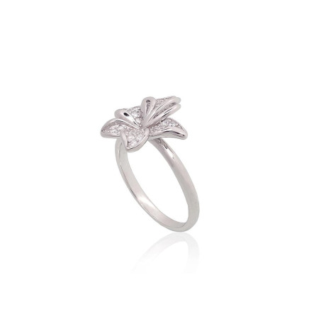 Silver ring, Silver 925 fineness, Rhodium (Plating), Zirkons, - 2101986000195 Women, - Silver ring, Silver 925 fineness, Rhodium (Plating), Zirkons
