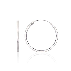 Silver earrings-rings, 2.9 g, Silver 925 fineness