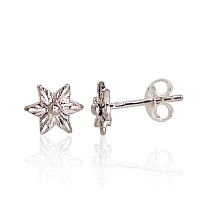 Silver stud earrings, 0.7 g, Silver 925 fineness, oxide (Plating)