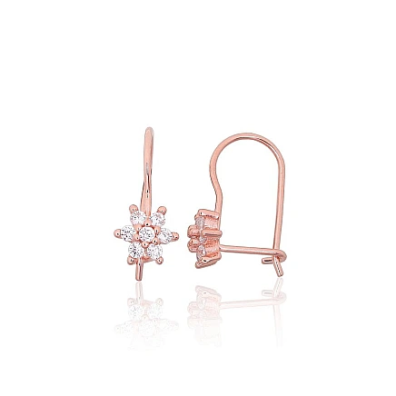 hook,  - Silver hook earrings, 0.8 g, Silver 925 fineness, red gold (Plating), Zirkons