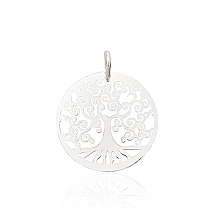 Sudraba kulons, 1.4 g, Sudrabs 925 prove